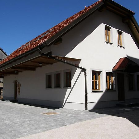 Apartments Vrdjan Cerknica Exterior foto