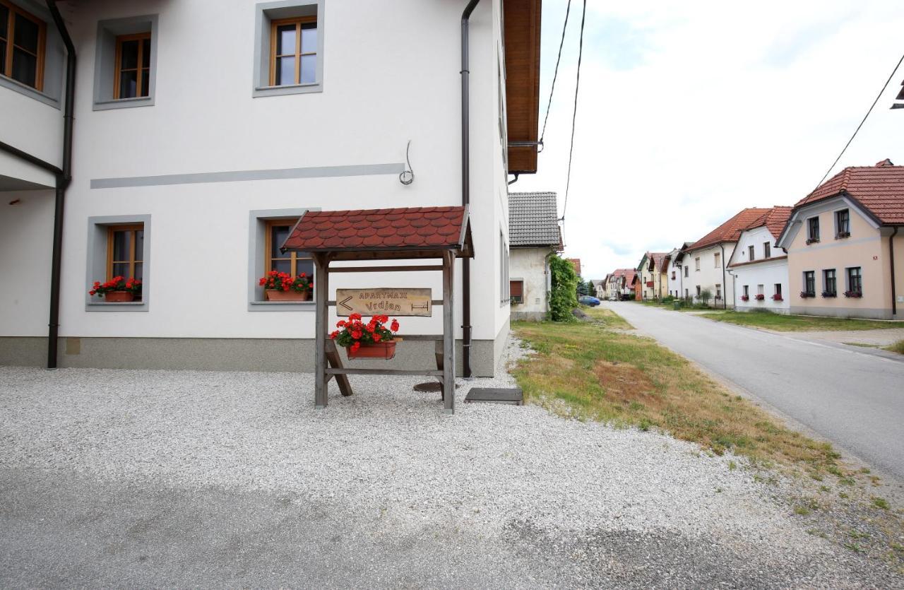 Apartments Vrdjan Cerknica Exterior foto